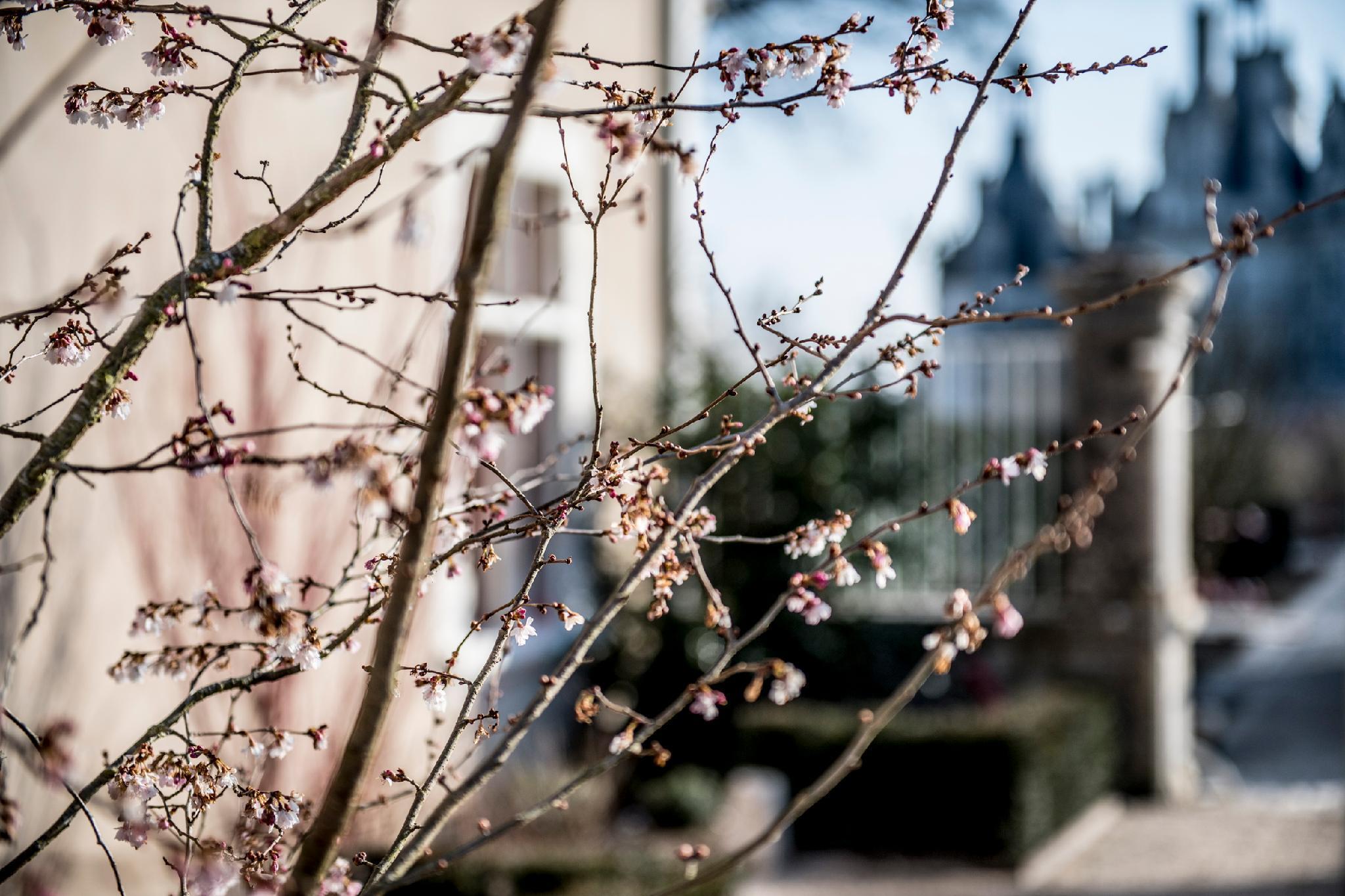 Hotel Relais De Chambord, A Small Luxury Of The World Chambord (Loir-et-Cher)